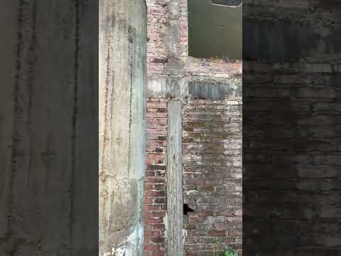 Previsualización del video