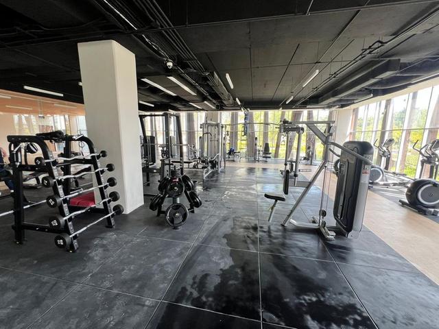 Foto de la galeria de imagenes