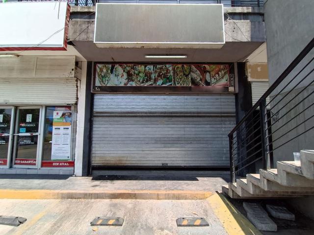 Foto de la galeria de imagenes