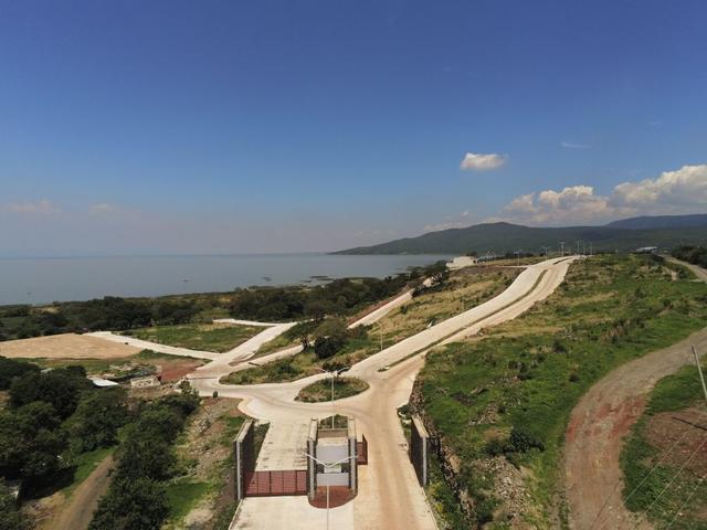 Foto de la galeria de imagenes