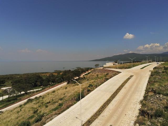 Foto de la galeria de imagenes
