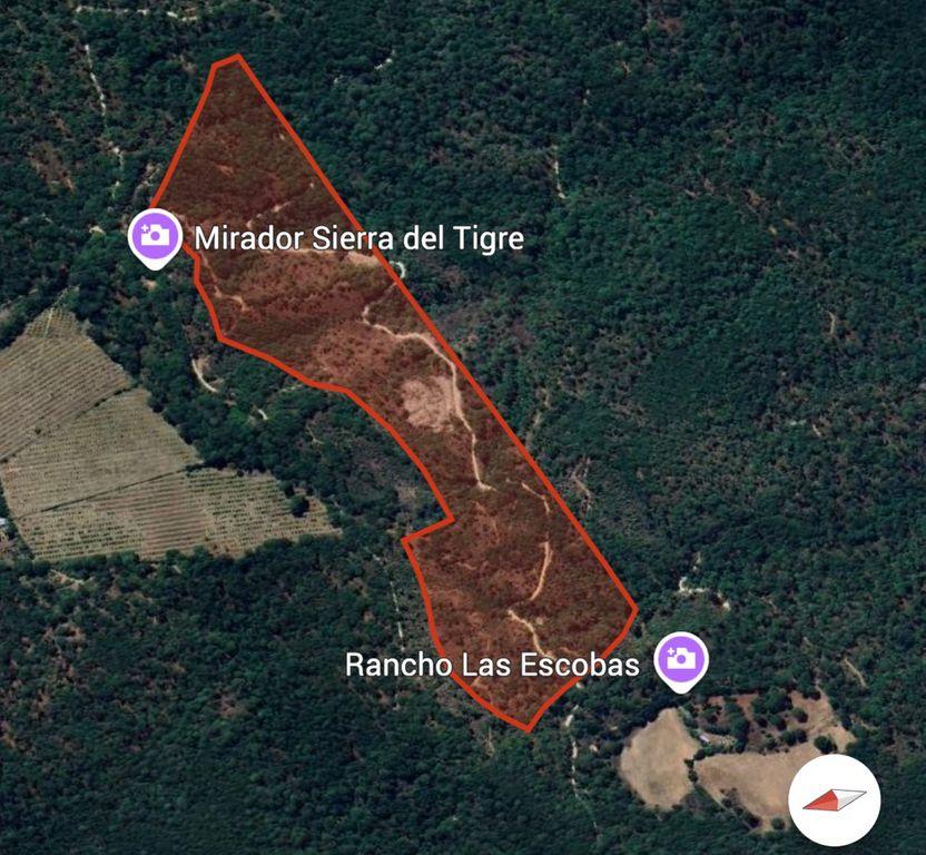 Foto de la galeria de imagenes