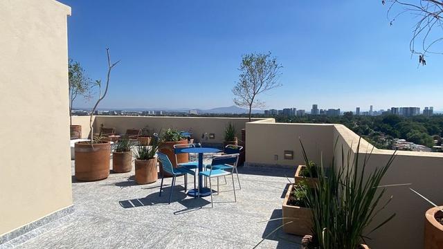 Foto de la galeria de imagenes